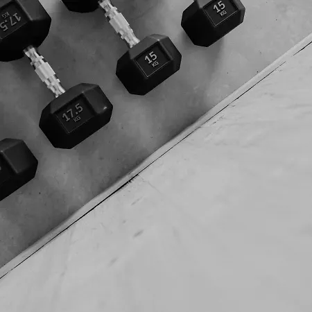 Dietrich - 58 레이브니츠