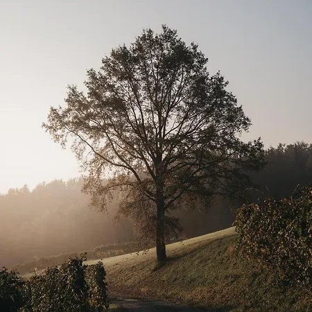 Dietrich - 58 * Leibnitz