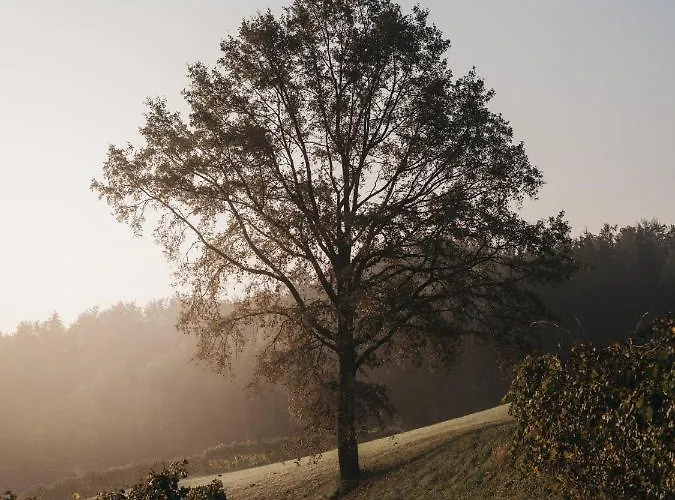 Dietrich - 58 * ليبنيتز